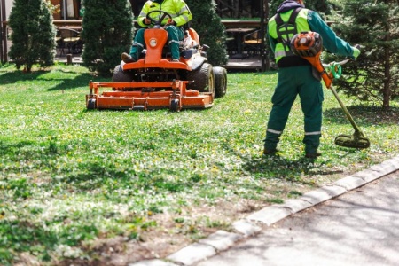 Comment optimiser l'entretien de vos espaces verts toute l'année ?