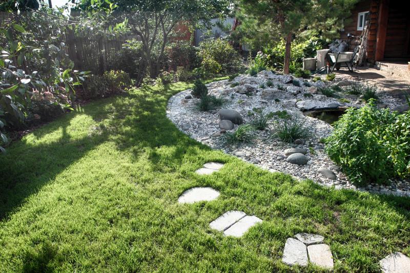 Quels services attendre d'un paysagiste professionnel pour votre jardin ?