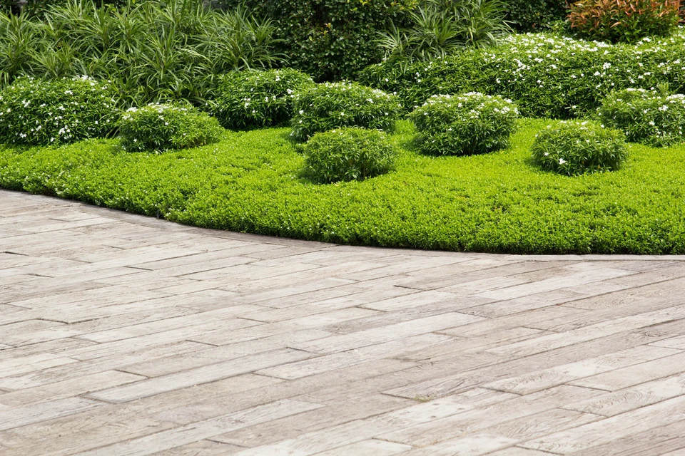 Aménagement paysager extérieur avec allée en pavés de pierre naturelle beige-gris disposés en motif irrégulier