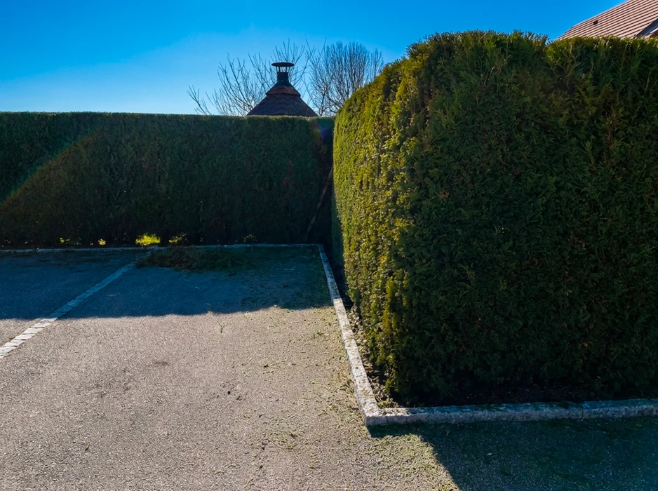 Jardin extérieur avec haies de thuyas taillées en forme géométrique verticale, séparées par une allée en gravier stabilisé bordée de pavés