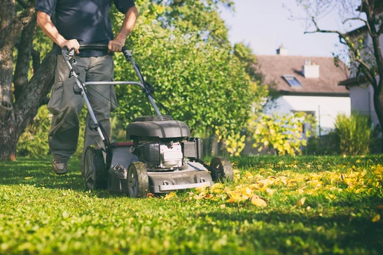 Scène extérieure d'automne : ouvrier paysagiste utilisant un souffleur à dos pour rassembler des feuilles mortes dorées sur pelouse verte