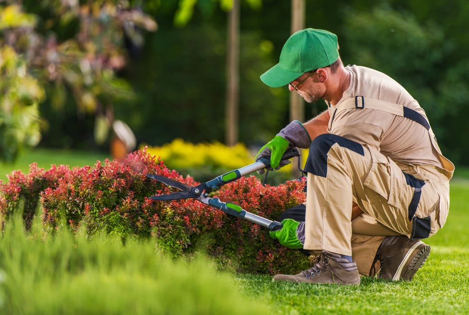 Scène extérieure de jardin avec professionnel en salopette et casquette orange consultant une tablette numérique