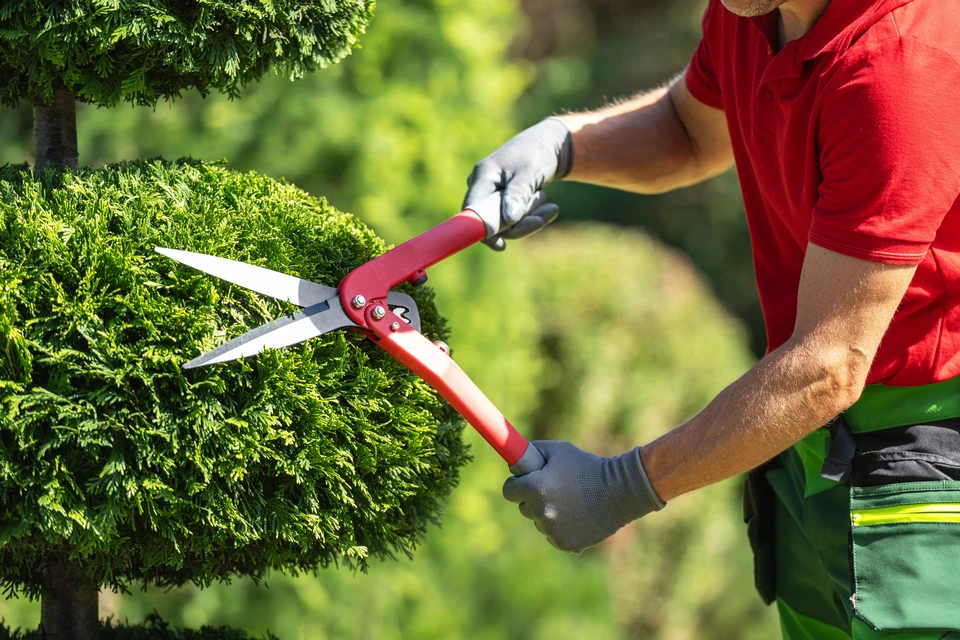 Détails du jardinage, jardinier qui commence la tondeuse à gazon et coupe l'herbe dans le jardin