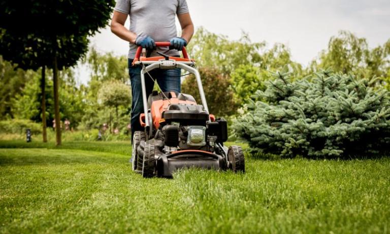 Les 7 services indispensables qu'un jardinier professionnel peut vous offrir